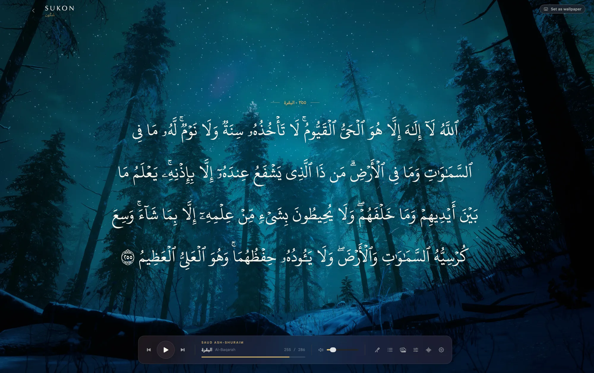 The Sukon window on a Mac: Āyat al-Kursī resting over a night scene of pines under an aurora, with the transport at the foot